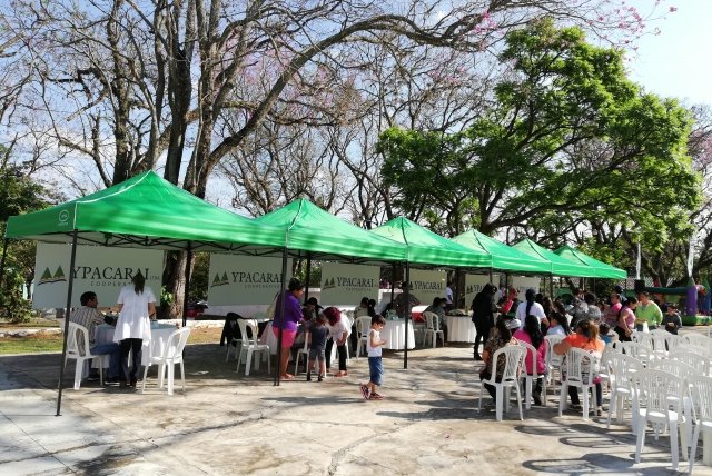 Servicio Social
