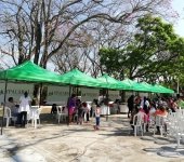 Servicio Social