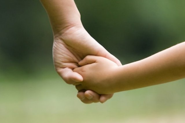 Servicio de Solidaridad